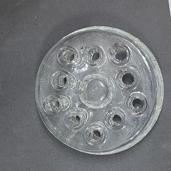 Frog - Picture 5 of 5